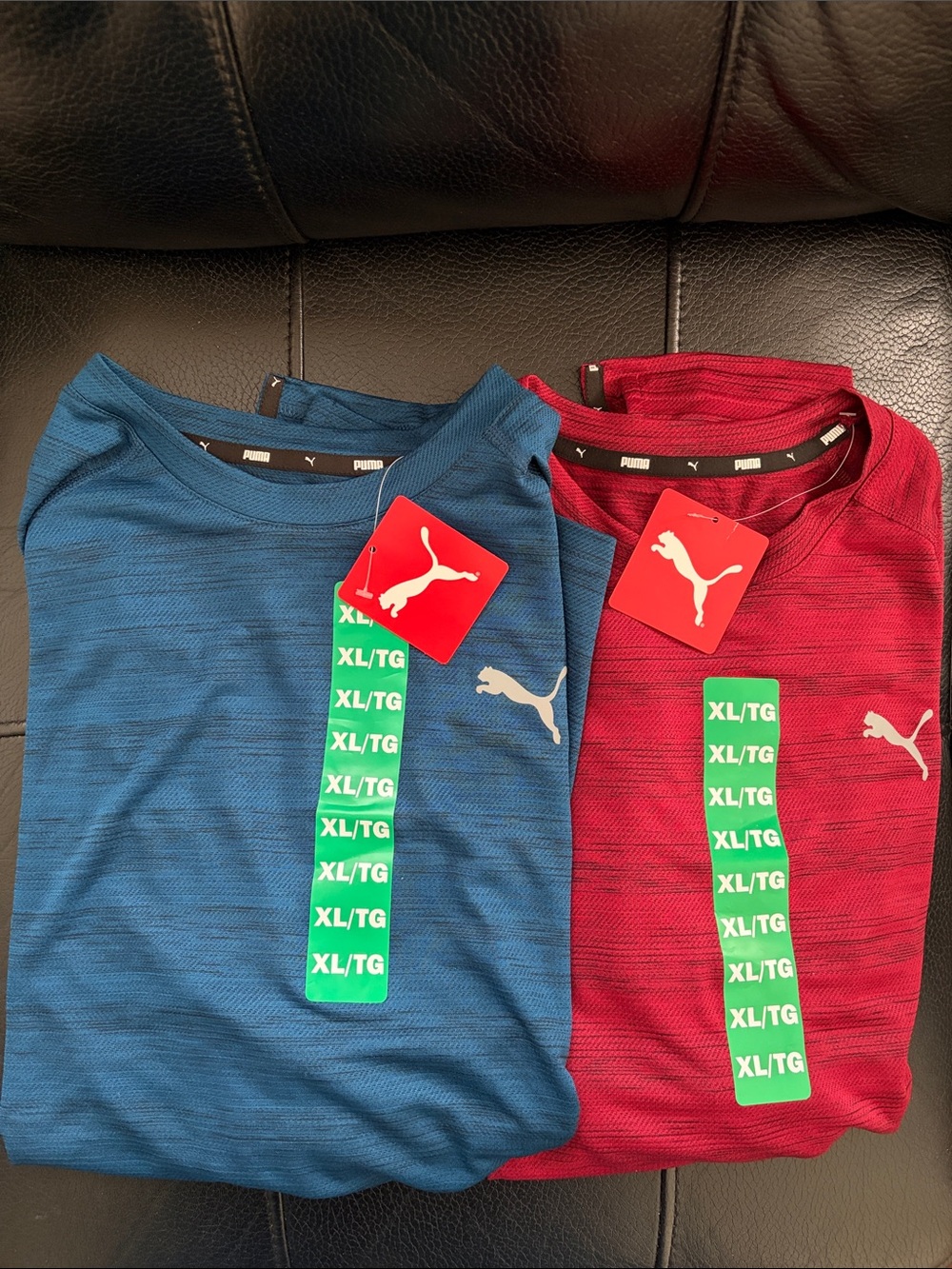 Puma Men Short Sleeve Tees - Blue & Red (Pair)